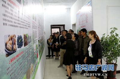 駐馬店市首個(gè)國(guó)家級(jí)'星創(chuàng)天地'在上蔡縣揭牌，助力農(nóng)業(yè)信息咨詢與創(chuàng)新發(fā)展