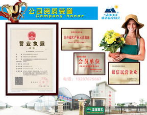 2017花海設(shè)計(jì)、造價與十年種植施工經(jīng)驗(yàn)下的數(shù)字內(nèi)容制作服務(wù)